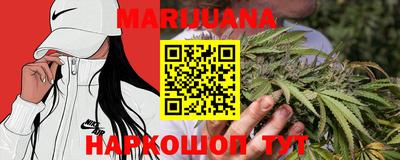 гидра Новокубанск