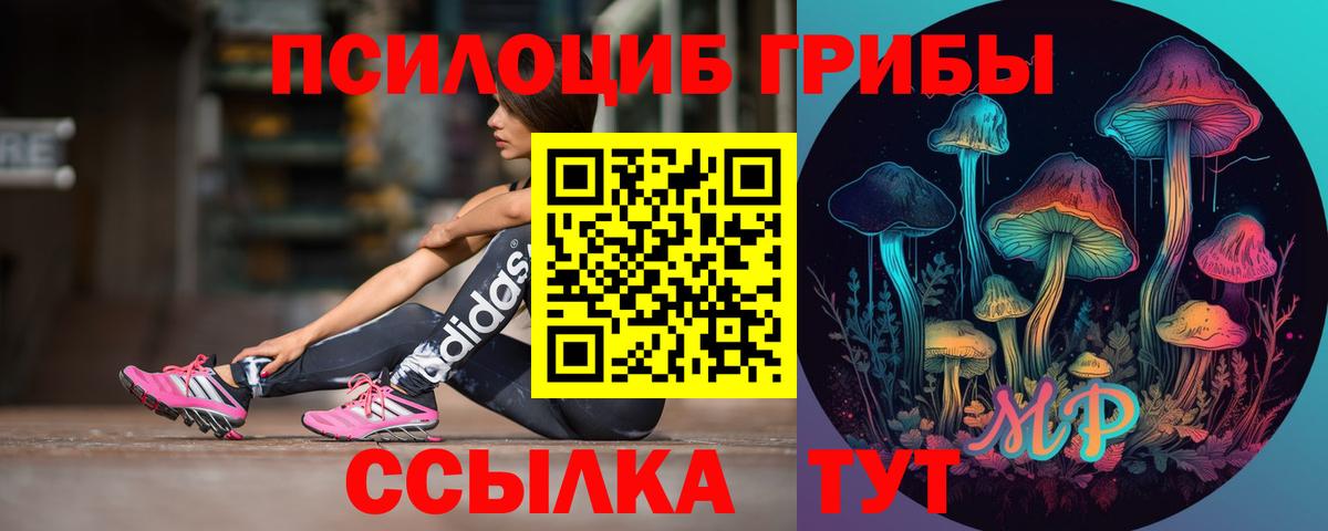 Галлюциногенные грибы прущие грибы Рассказово